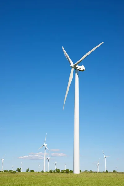 Concepto energía eólica —  Fotos de Stock