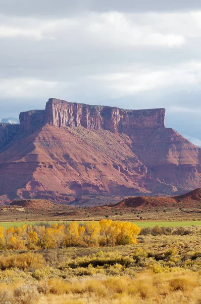 Towers in the desert — Stock Photo, Image