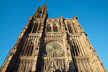 Strazburg katedral görünümü