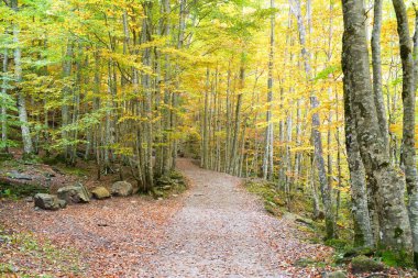 Ordesa Milli Parkı.