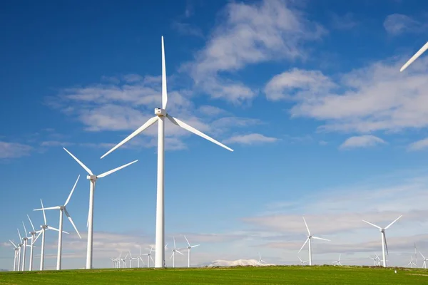 Concepto energía eólica — Foto de Stock