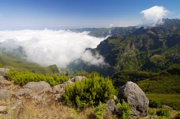 Vista paisagem da Madeira — Fotografia de Stock