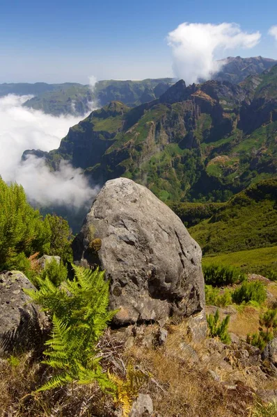 Vista paisagem da Madeira — Fotografia de Stock