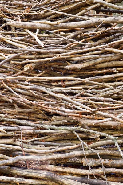 Bois de chauffage en Pyrénées — Photo