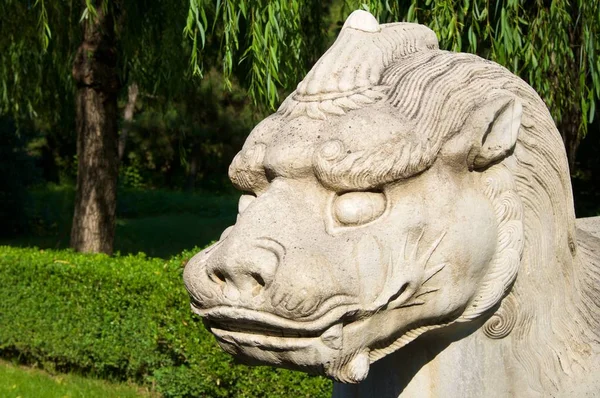 The General Sacred Way of the Ming Tombs — Stock Photo, Image