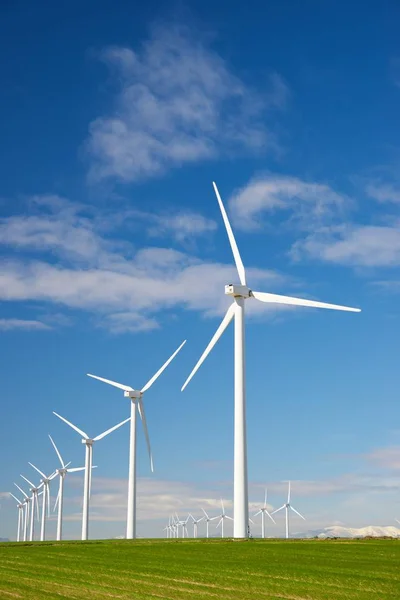 Concepto energía eólica — Foto de Stock