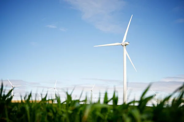 Concepto energía eólica — Foto de Stock