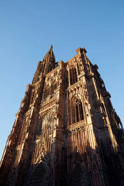 Strazburg katedral görünümü — Stok fotoğraf