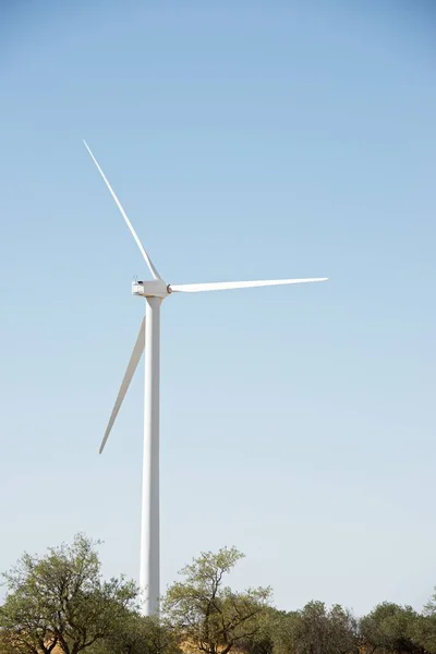 風力エネルギーの概念 — ストック写真