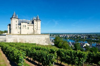 Saumur kale Manzaralı