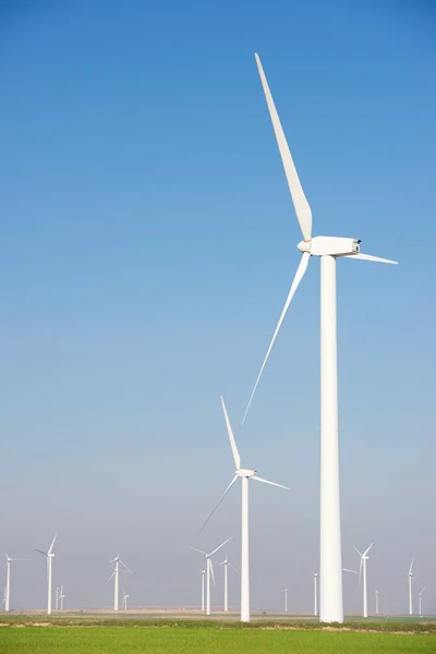 Rüzgar enerjisi kavramı — Stok fotoğraf
