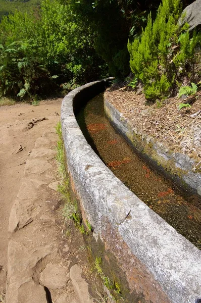 Vandringsled i Madeira — Stockfoto