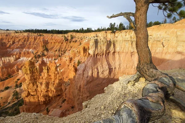 Bryce Canyon view — Stock Photo, Image