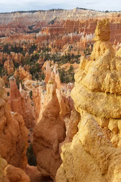 Vista del cañón de Bryce — Foto de Stock