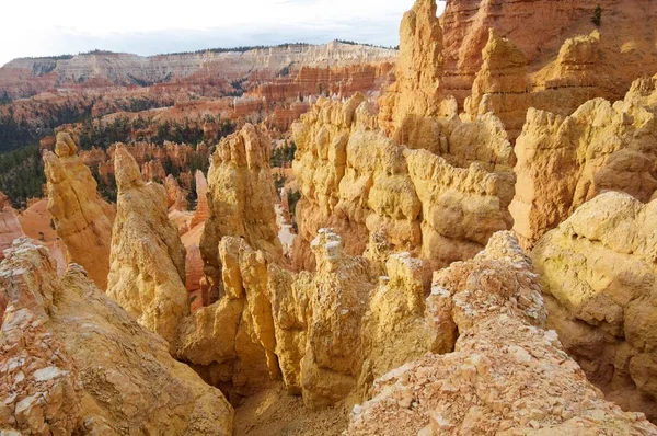 Bryce canyon görünümü — Stok fotoğraf