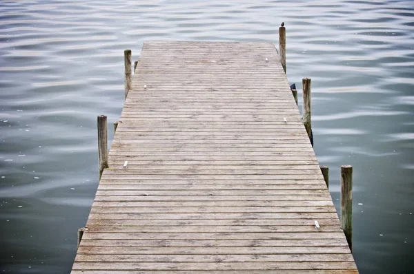 Albufera sjöutsikt. — Stockfoto