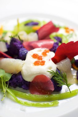 Rus salatası yakın çekim