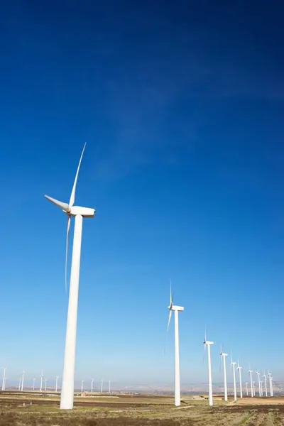 Concepto energía eólica —  Fotos de Stock