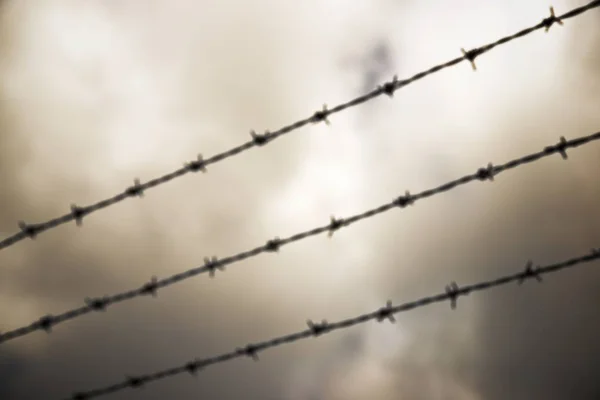Barbed wire fence — Stock Photo, Image