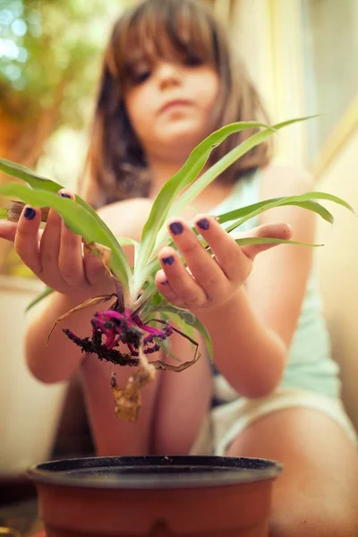 Little girl gardener — Stock Photo, Image