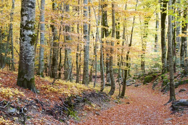 Park narodowy Ordesa — Zdjęcie stockowe