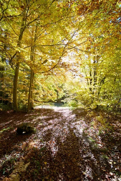 Осень в Пиренеях — стоковое фото