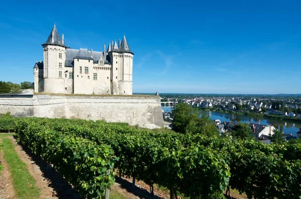 Vista do castelo de Saumur — Fotografia de Stock