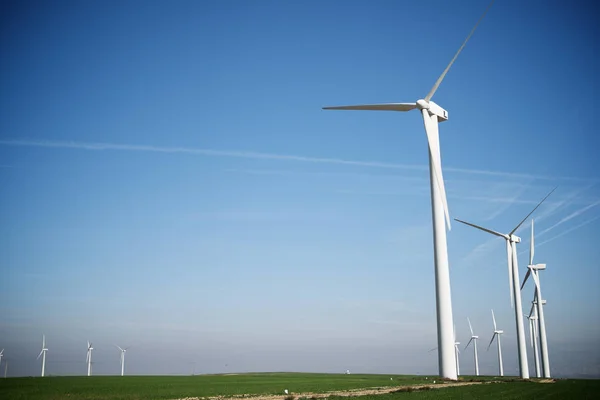 Concepto energía eólica —  Fotos de Stock