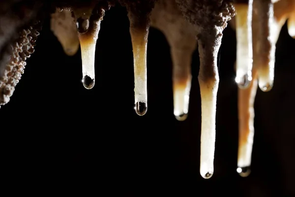 Estalactites de perto — Fotografia de Stock