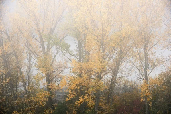 Туман в Піренеях — стокове фото