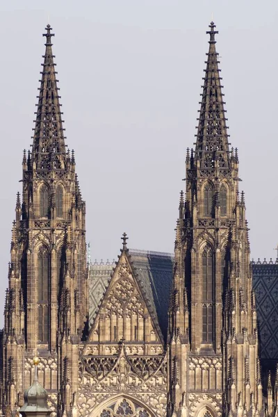 Cathédrale Saint-Vitus — Photo