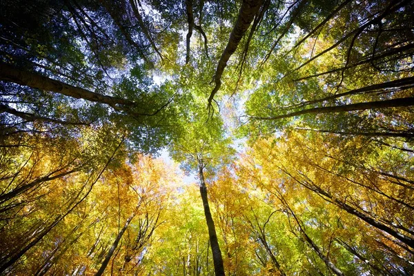 Herfst in de Pyreneeën — Stockfoto