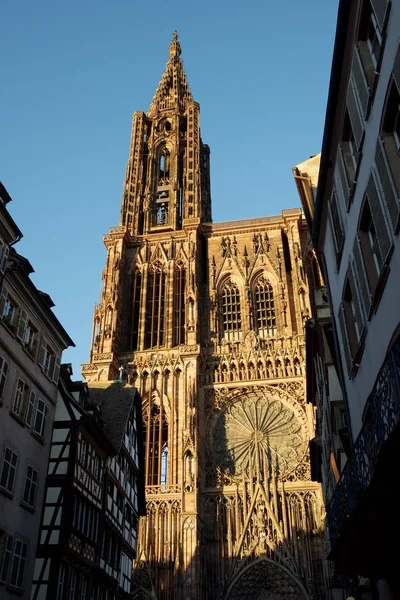 Strazburg katedral görünümü — Stok fotoğraf