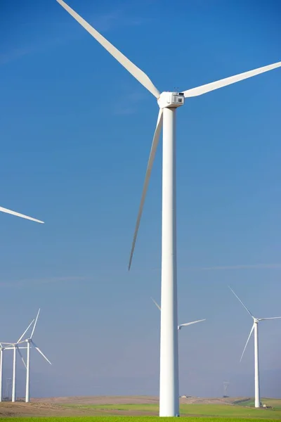 Concepto energía eólica — Foto de Stock