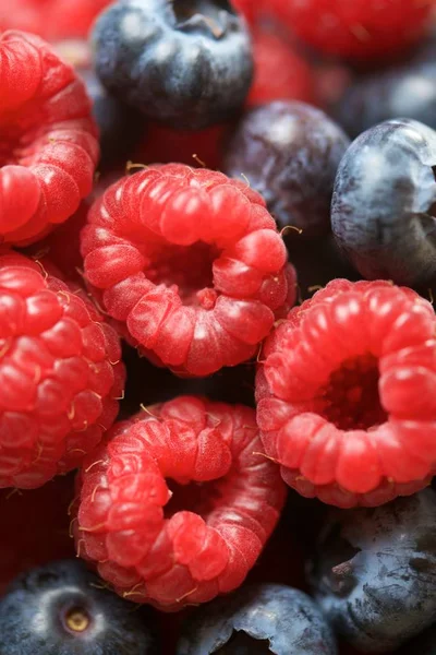 Raspberries and blueberries — Stock Photo, Image