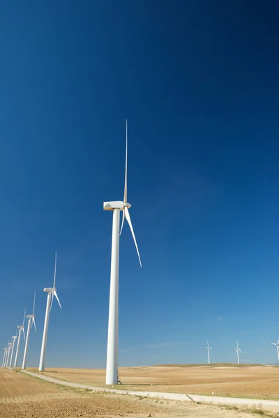 Concepto energía eólica —  Fotos de Stock