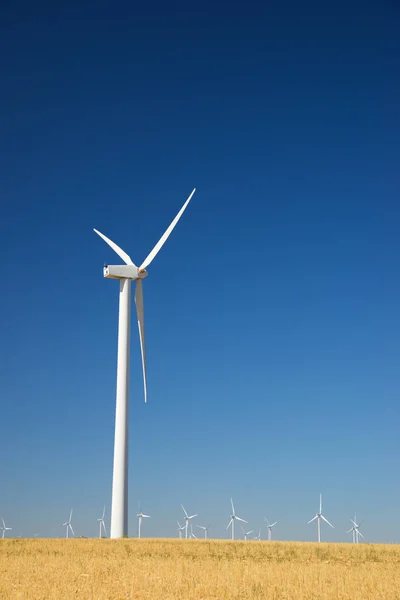 Concepto energía eólica — Foto de Stock