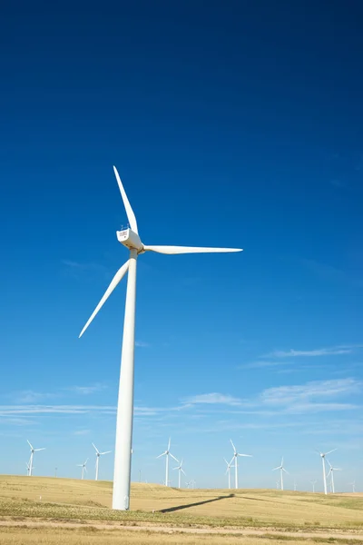 Concepto energía eólica —  Fotos de Stock