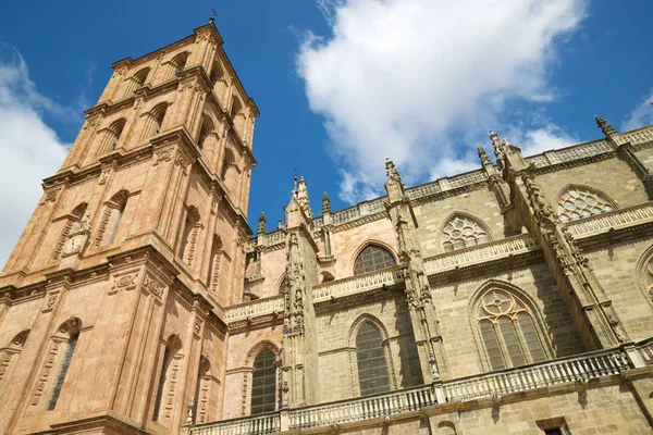 Blick auf die Kathedrale von Astorga — Stockfoto