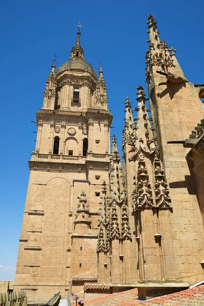 Kathedrale von Salamanca in Spanien — Stockfoto