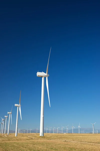 Concepto energía eólica —  Fotos de Stock