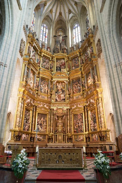 Vista a la Catedral de Astorga — Foto de Stock