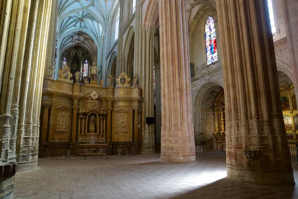 Θέα στον καθεδρικό ναό Astorga — Φωτογραφία Αρχείου