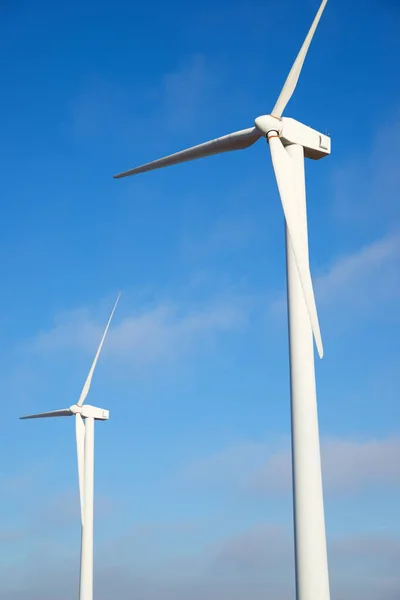 Concepto energía eólica —  Fotos de Stock