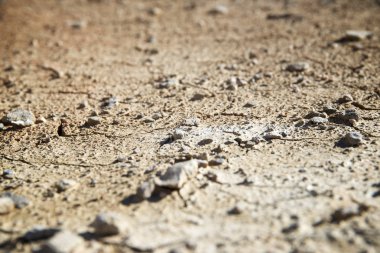 Kuraklık arazi konsepti