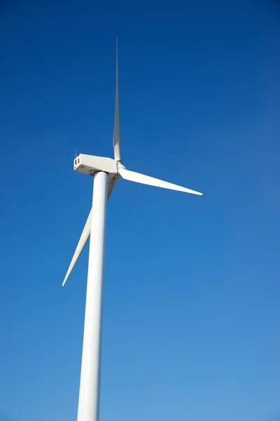 Concepto energía eólica — Foto de Stock