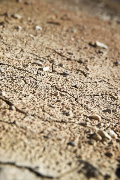 Conceito de terra seca — Fotografia de Stock