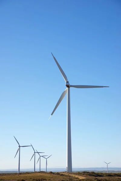 Conceito de energia eólica — Fotografia de Stock