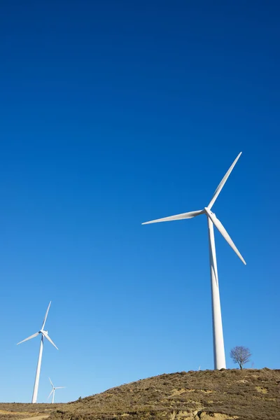 風力エネルギーの概念 — ストック写真