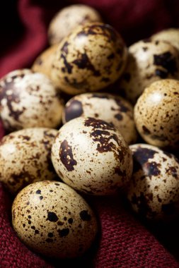 Bıldırcın yumurtası görünümü
